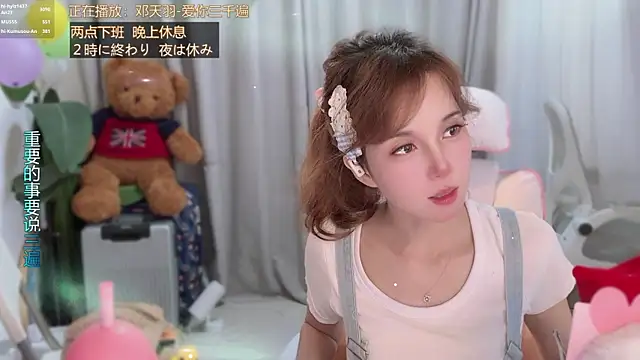 hi-AnAn webcam