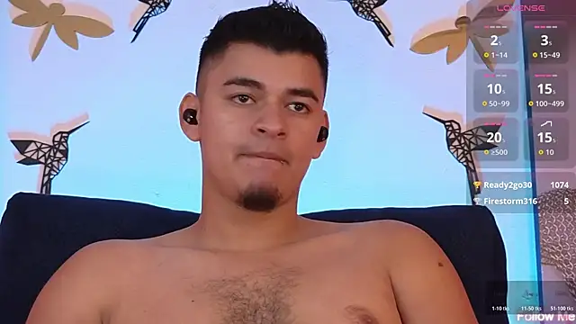 VikoHands webcam