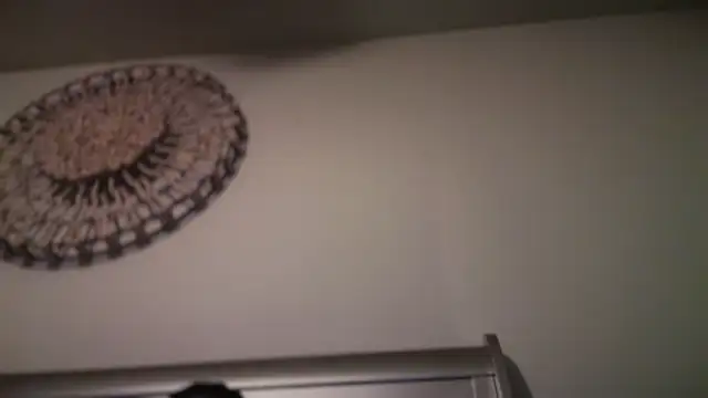 KungFuPanda001 webcam