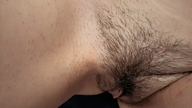 brandy_h9 webcam