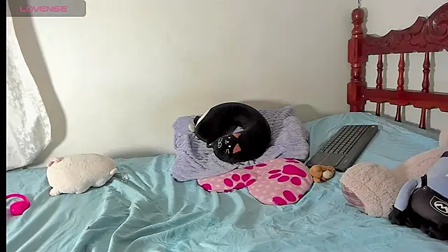 jilary__clinton webcam