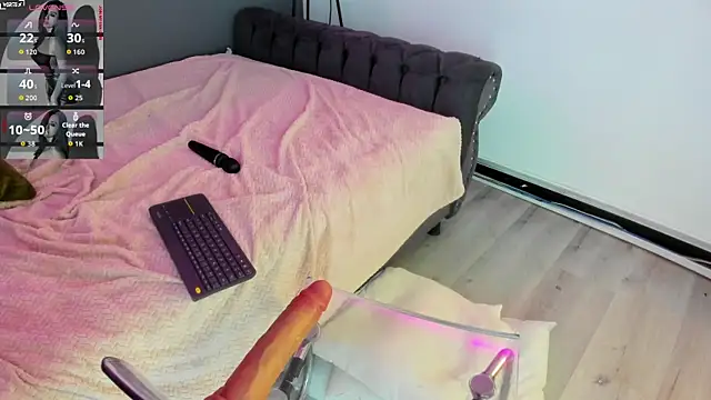 Abbyy_stone webcam