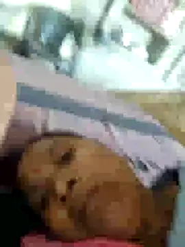Loomaraj webcam