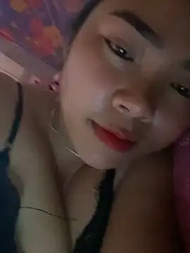 Nul_chal webcam