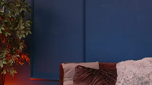 DeeaVIP webcam