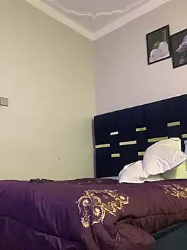Dellah27 webcam