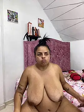 Rossestoner webcam