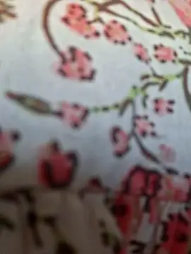 Priya_Bong webcam