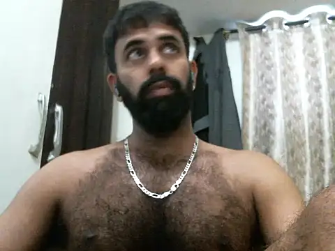 indianhairybull webcam