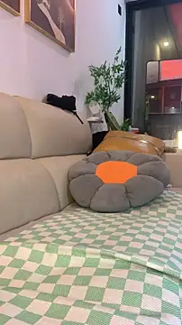 zhizhinaigai webcam