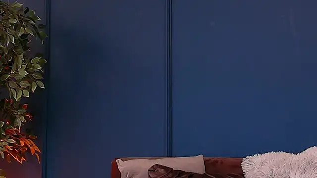 DeeaVIP webcam