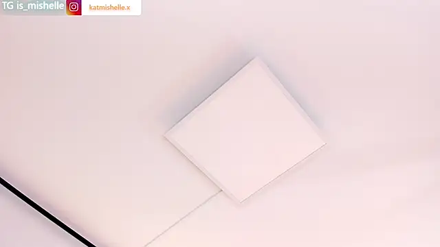 _mishelle webcam