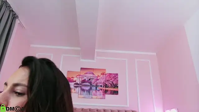 MayaSpringX webcam