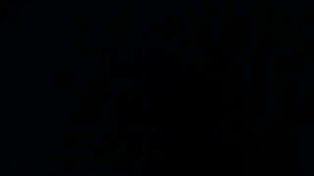 Digisa - Male webcam sex chat