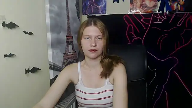 StellaCRL webcam