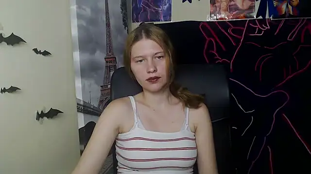 StellaCRL webcam