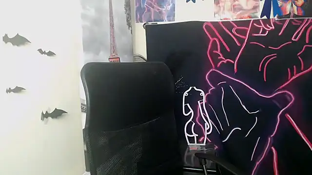 StellaCRL webcam