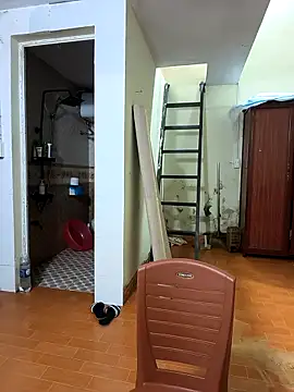 Lynly_k2 webcam
