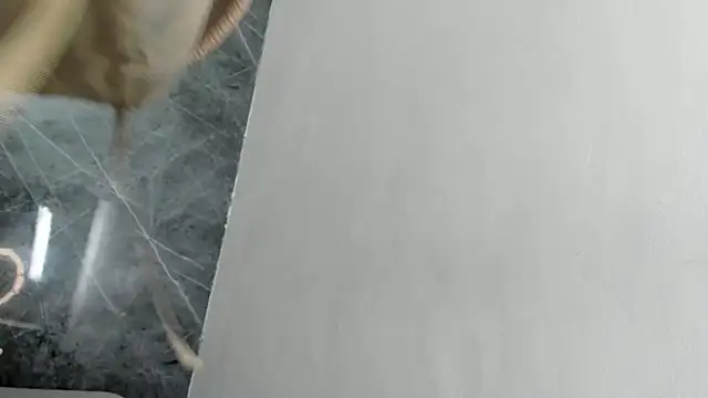 AlissonHarris webcam
