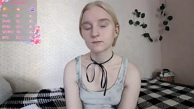 ForwentSeat webcam