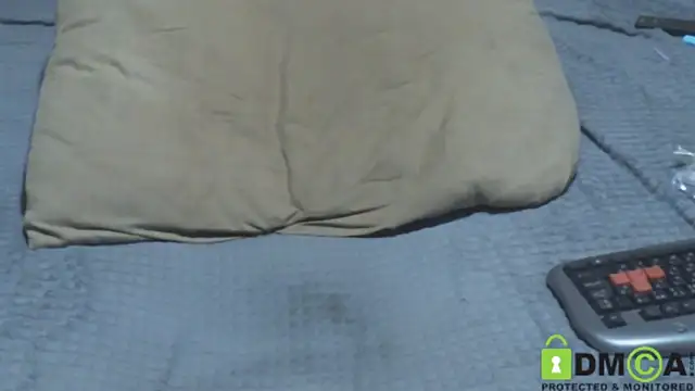 JumboBrain webcam