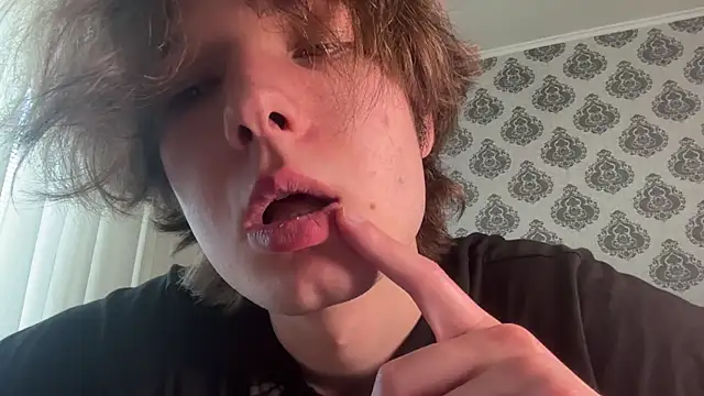 tomasdickpick webcam