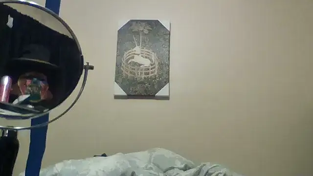 hailzeffn webcam