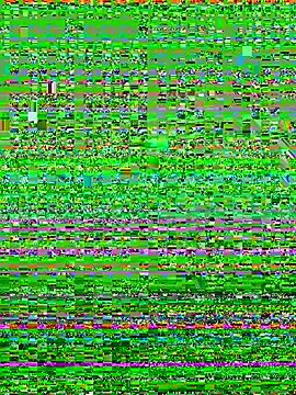 Ani-Dream webcam