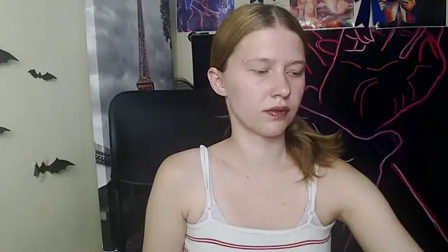 StellaCRL webcam