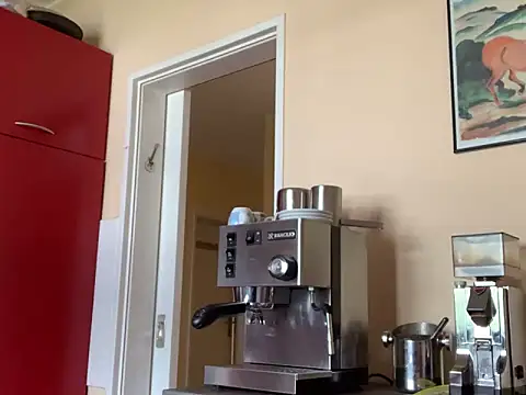 Bula94193 webcam