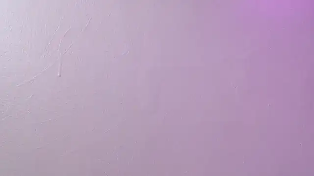 SCARLETT_INK_ webcam