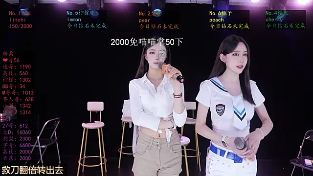 SG-0310 webcam