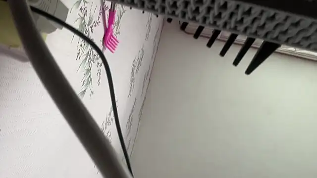SofiaOops_1 webcam
