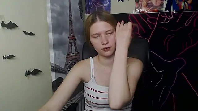 StellaCRL webcam
