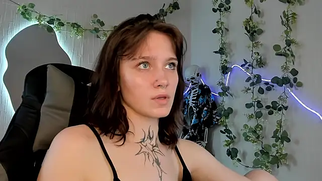 Elastikisss webcam