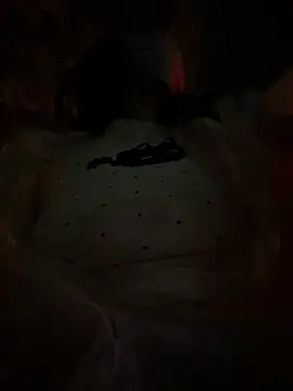 zhizhibaobei webcam