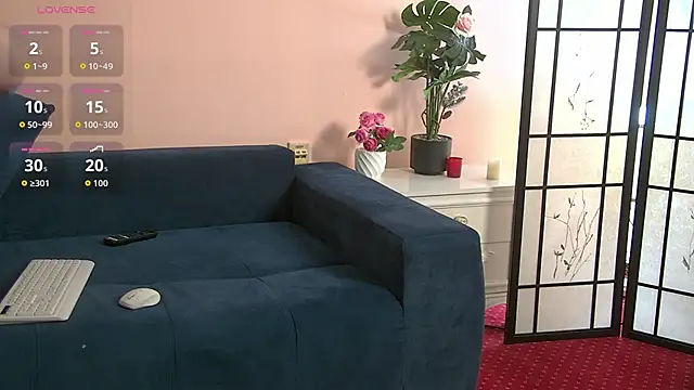 arianoirr webcam