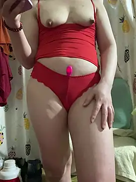 Hatasimi webcam