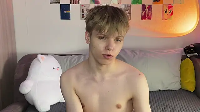 metarion webcam