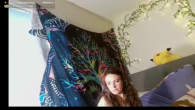 pickl3banditz webcam
