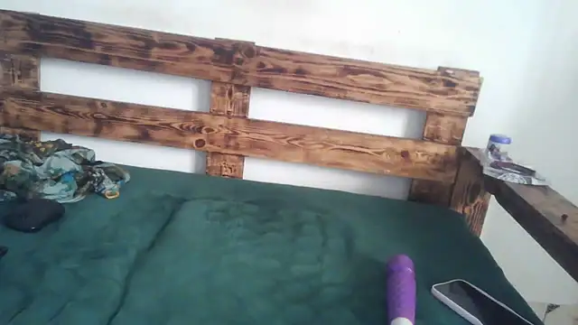 merlias webcam