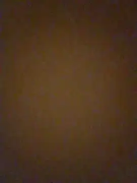 Tieuthu2 webcam