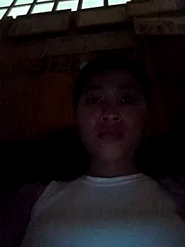Hiniyk2 webcam