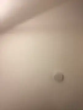 baby_lizy webcam