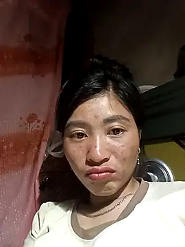 Hiniyk2 webcam
