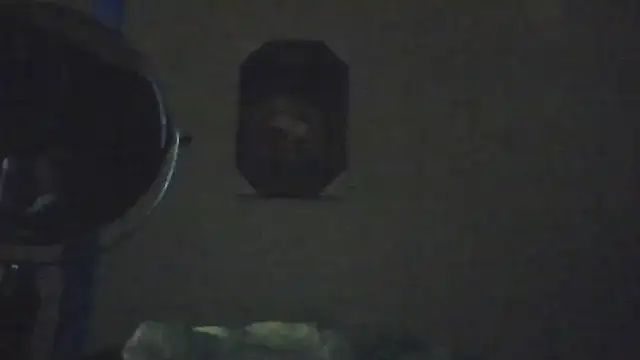 hailzeffn webcam