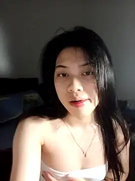 Katanh webcam