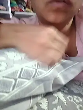 Hansikatelugu webcam