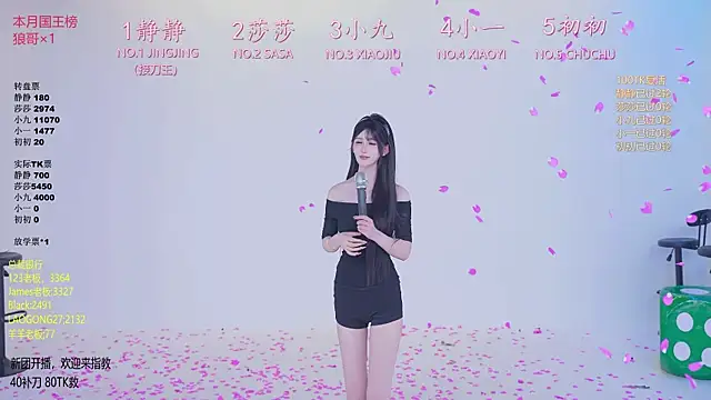 TY-002 webcam
