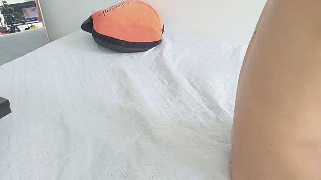 grey___27 webcam
